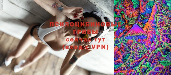 apvp Володарск