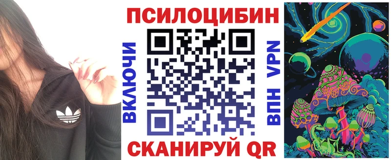 Купить  Новоалександровск  Галлюциногенные грибы Cubensis 
